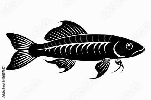killifish sihouette black vector