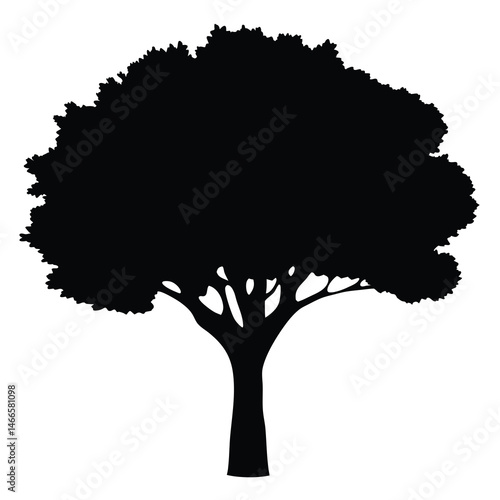 teak tree vector silhouette icon, black and white illustration of trees.