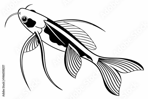 glass catfish sihouette black vector