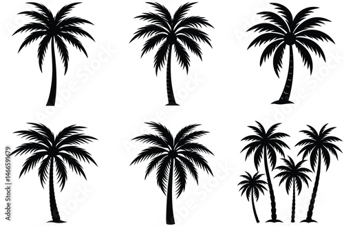 Tropical beach sunset with palm tree silhouettes