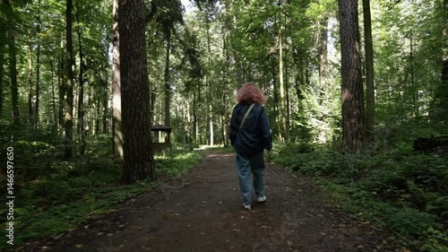 Wallpaper Mural Woman walking in the forest, rear view from the back, walking for fitness along a calm and quiet pathway Torontodigital.ca