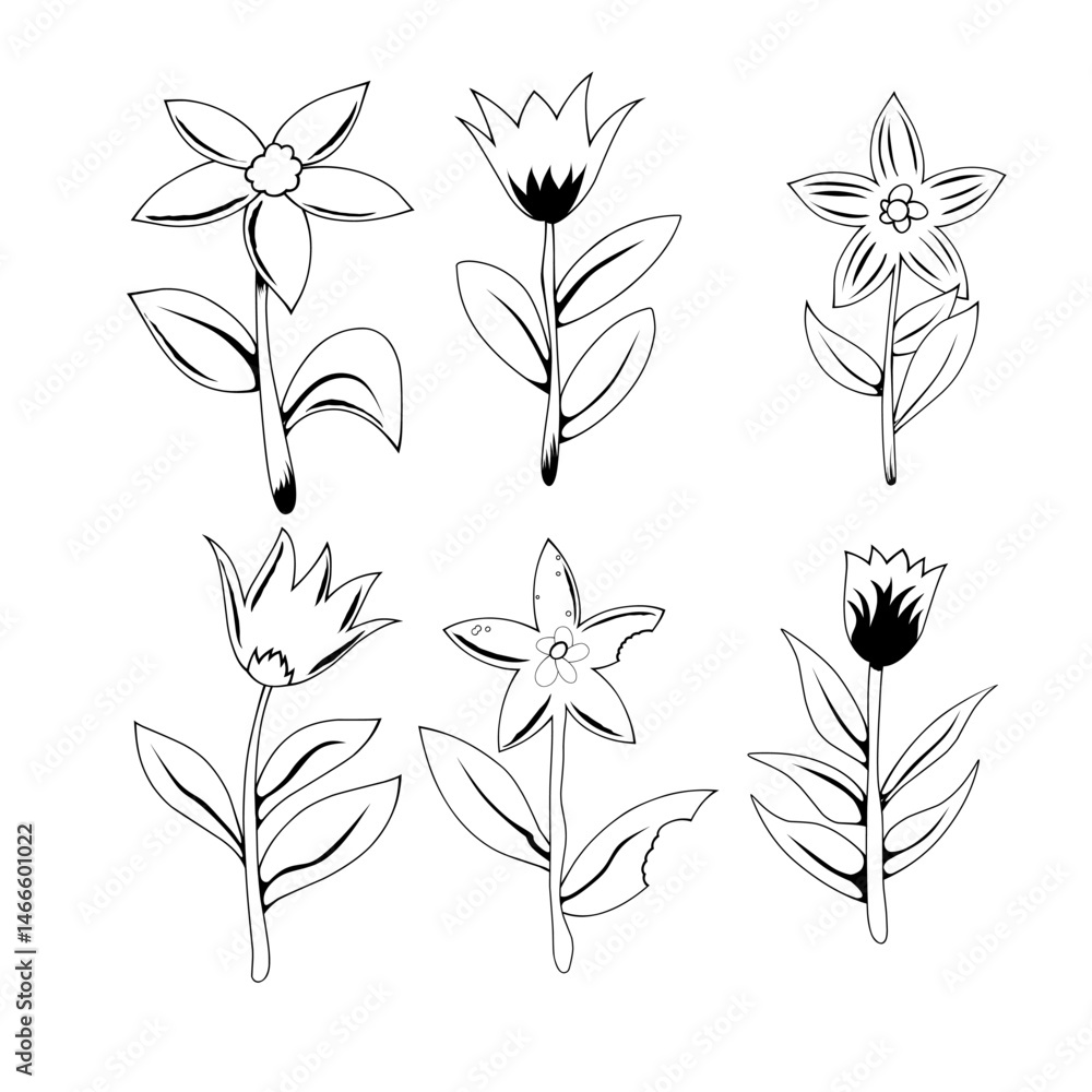 Fototapeta premium flower bud illustration, for graphic design, background or decoration in design