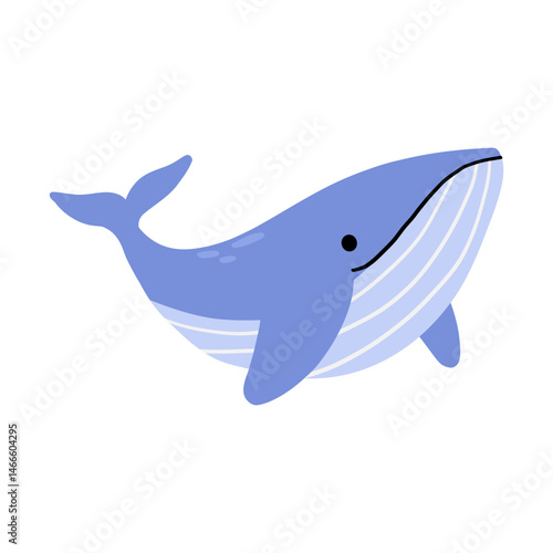 Illustration of a Blue Whale