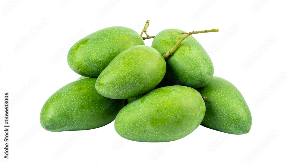 Green mangoes cluster of unripe fruit isolated on solid white background Green mangoes cluster of unripe fruit isolated on solid white background