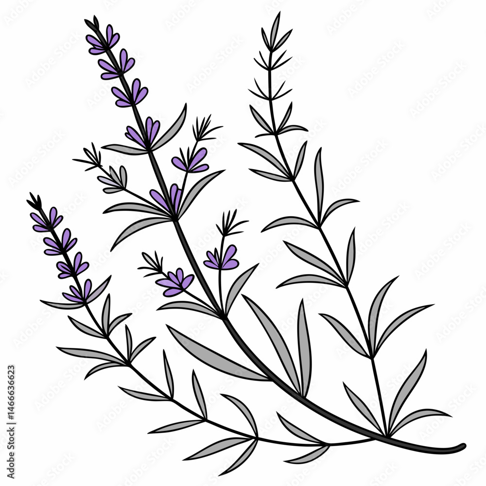 Naklejka premium black and white floral background vector silhouette 