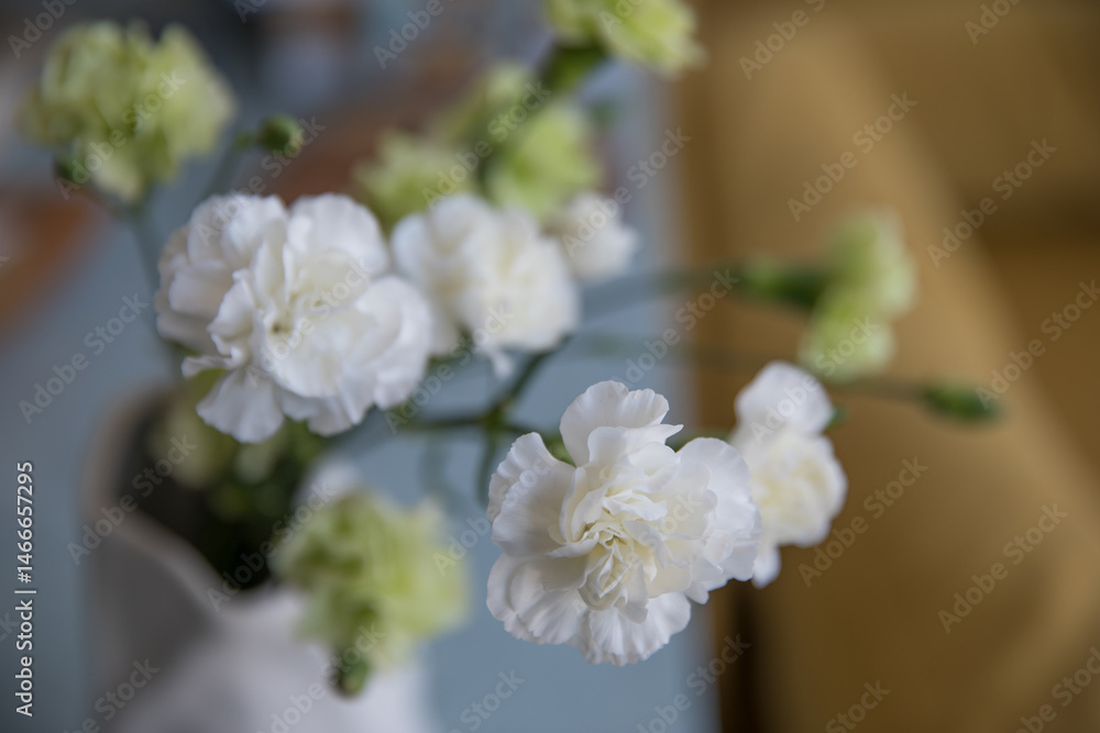 Fototapeta premium Bouquet of white and green carnations in a vase at home