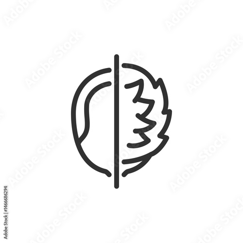 Split head with hair loss, linear icon. Comparison of healthy and thinning hair. Line with editable stroke.
