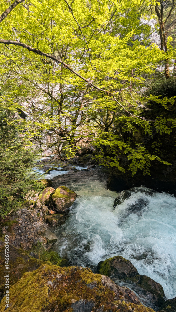 Scenic mountain waterfall surrounded by mossy rocks and vibrant spring foliage, captured at sunrise in the Pyrenees of Aragón, travel and nature image for adventure, hiking and photography themes
Scenic mountain waterfall surrounded by mossy rocks and vibrant spring foliage, captured at sunrise in the Pyrenees of Aragón, travel and nature image for adventure, hiking and photography themes
