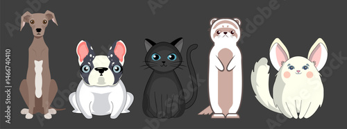 a set of cute cartoon baby animals. greyhound, bulldog, kitten, ferret, white chinchilla. vector pets. a petting zoo.
