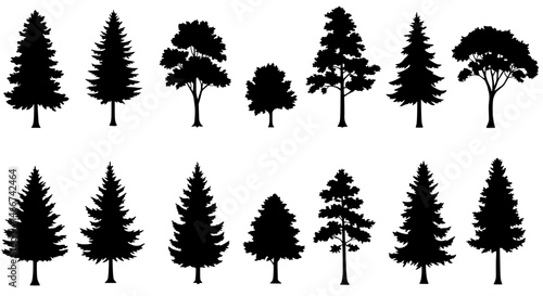 Diverse Tree Silhouettes: A stunning collection of various tree silhouettes, showcasing diverse shapes and forms. A versatile visual resource for design projects.