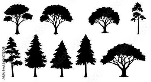 Tree Silhouette Variety: An artful compilation of diverse tree silhouettes, each poised against a clean backdrop.