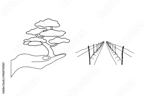 Line drawing showing a hand holding a bonsai tree and a perspective view of a vineyard