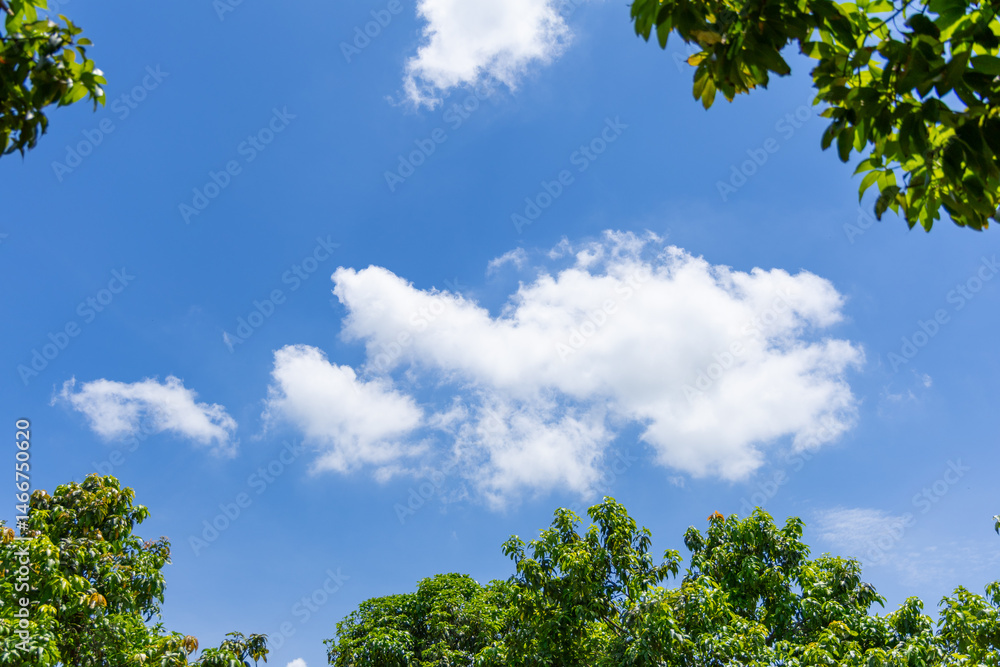 Fototapeta premium Bright blue sky with fluffy white clouds.