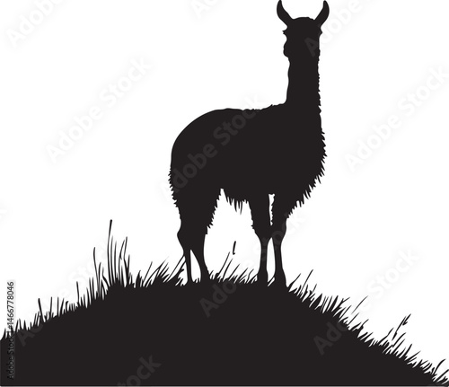 Llama Silhouette Vector Illustration: Black and White Graphic of a Llama Standing on a Hill, Farm Animal Clipart, Wildlife Art, Stock Image