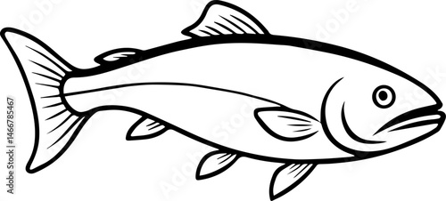 Arctic char outline vector illustration line art
