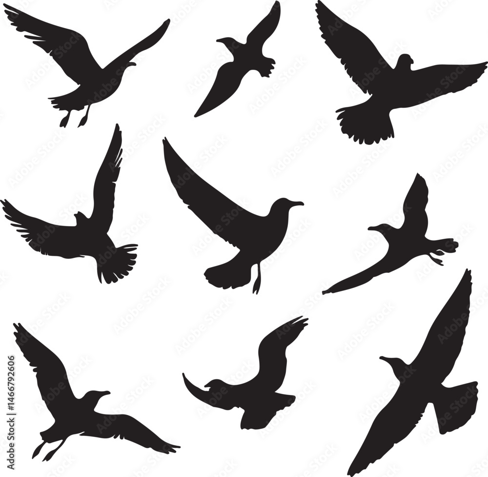 Fototapeta premium Seagull Silhouettes Flying: Black and White Vector Illustration of Birds in Flight, Graphic Design Element for Nature and Wildlife Projects