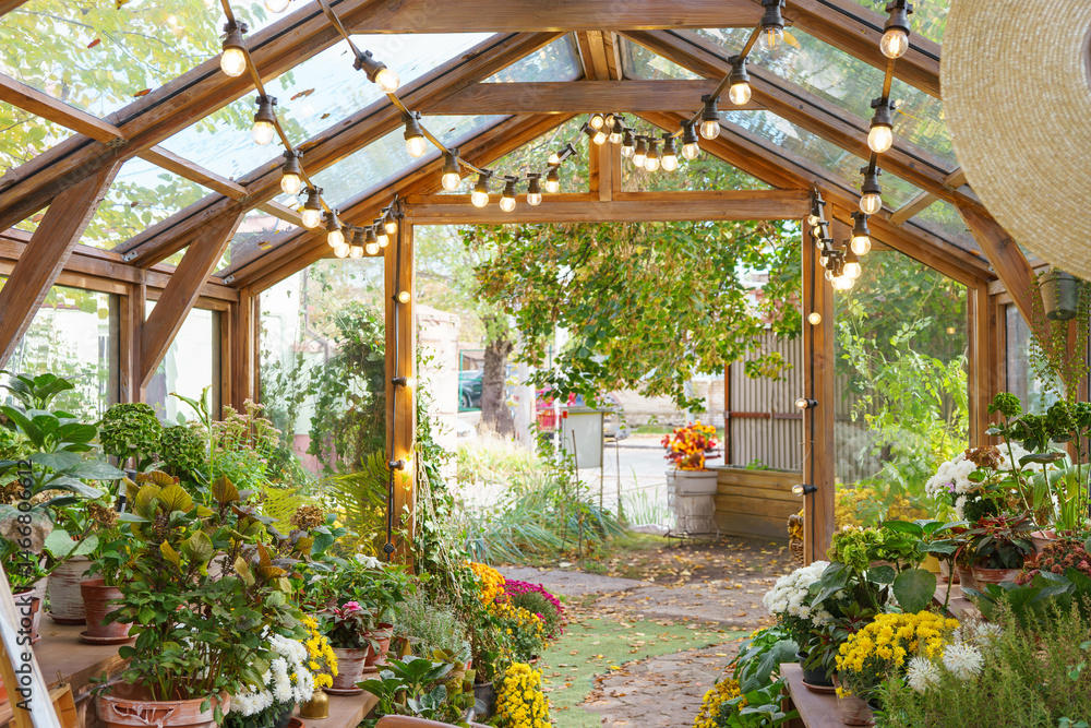 Φωτογραφία Charming wooden greenhouse with variety of plants and flowers, surrounded by vibrant greenery background