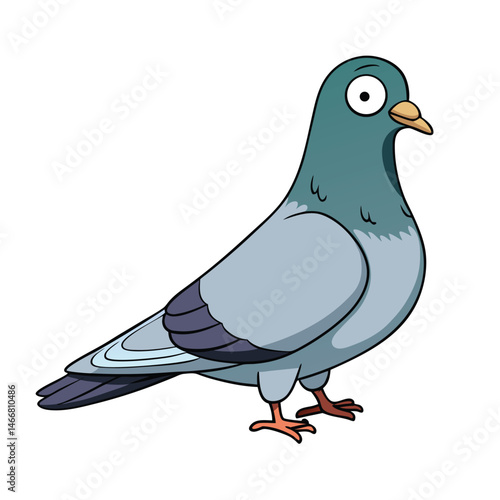 vector illustration of a pigeon