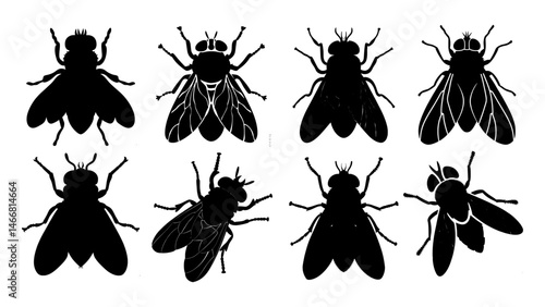Insect Silhouette Vector – Black Winged Bug Illustration with Clean Lines and High Contrast