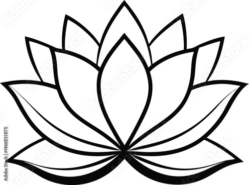vector illustration of lotus