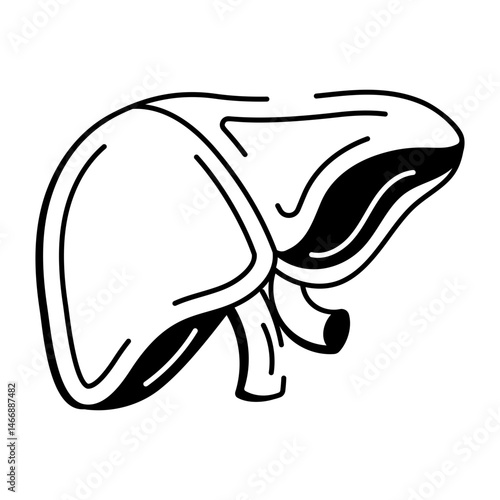 A hand drawn style icon depicting the liver organ
