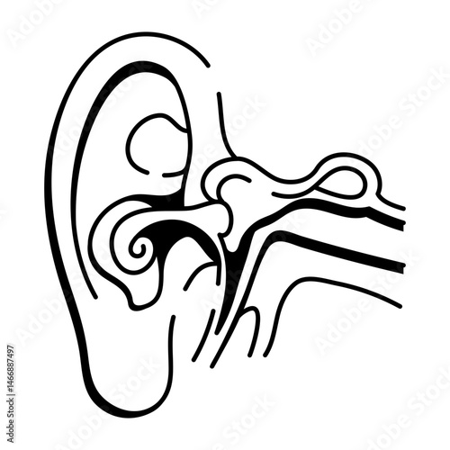 A hand drawn style icon illustrating ear anatomy structure
