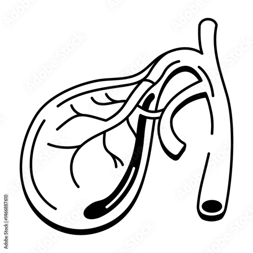 An icon of the gallbladder designed in drawing style
