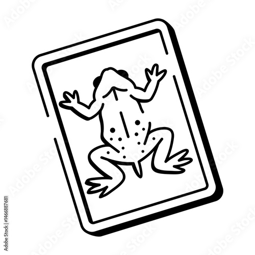 An icon of frog dissection designed in drawing style