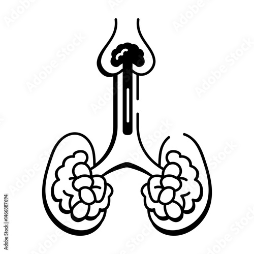 A doodle style icon depicting the endocrine system