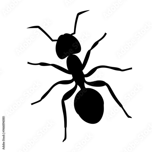 A striking silhouette of an ant, standing out against a white background