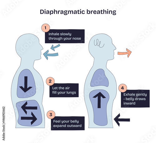 Diaphragmatic breathing shows airflow, lung expansion, and belly movement to explain deep breathing technique. Doodle style diagram