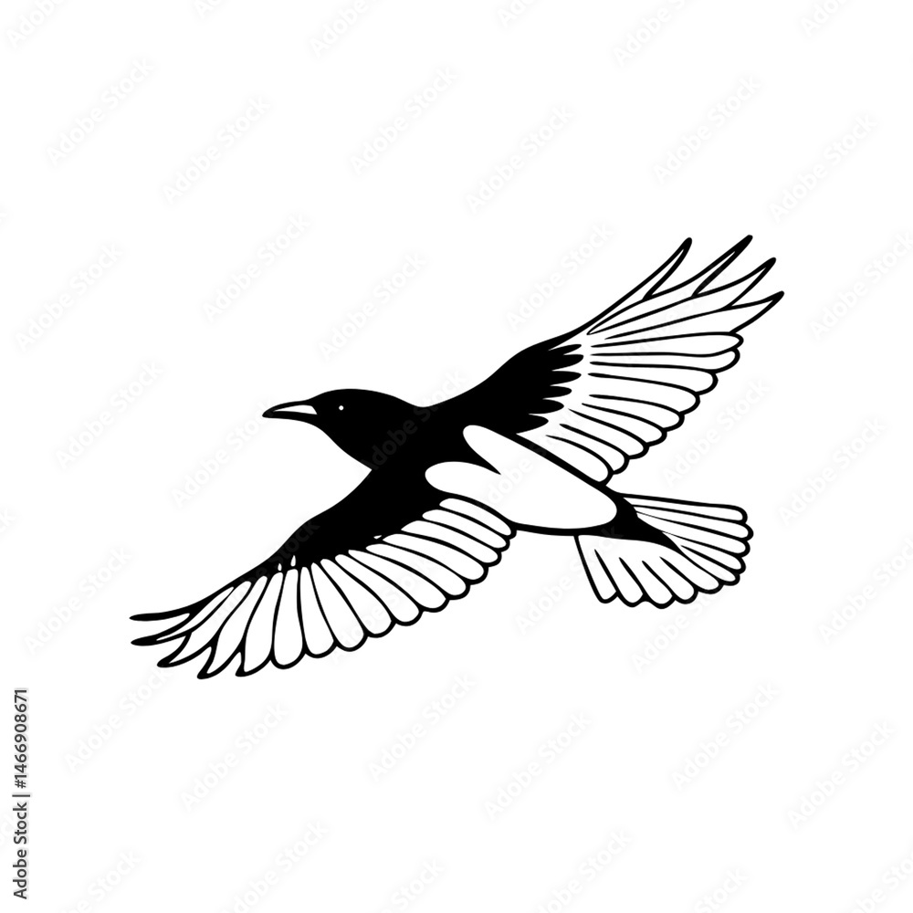 Obraz premium silhouette of a flyting bird, png transparent background