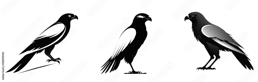 Fototapeta premium Three stylized birds with black and white plumage standing upright