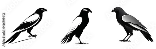 Three stylized birds with black and white plumage standing upright