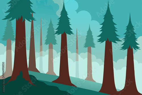 mist drifting through tall coastal redwoods  