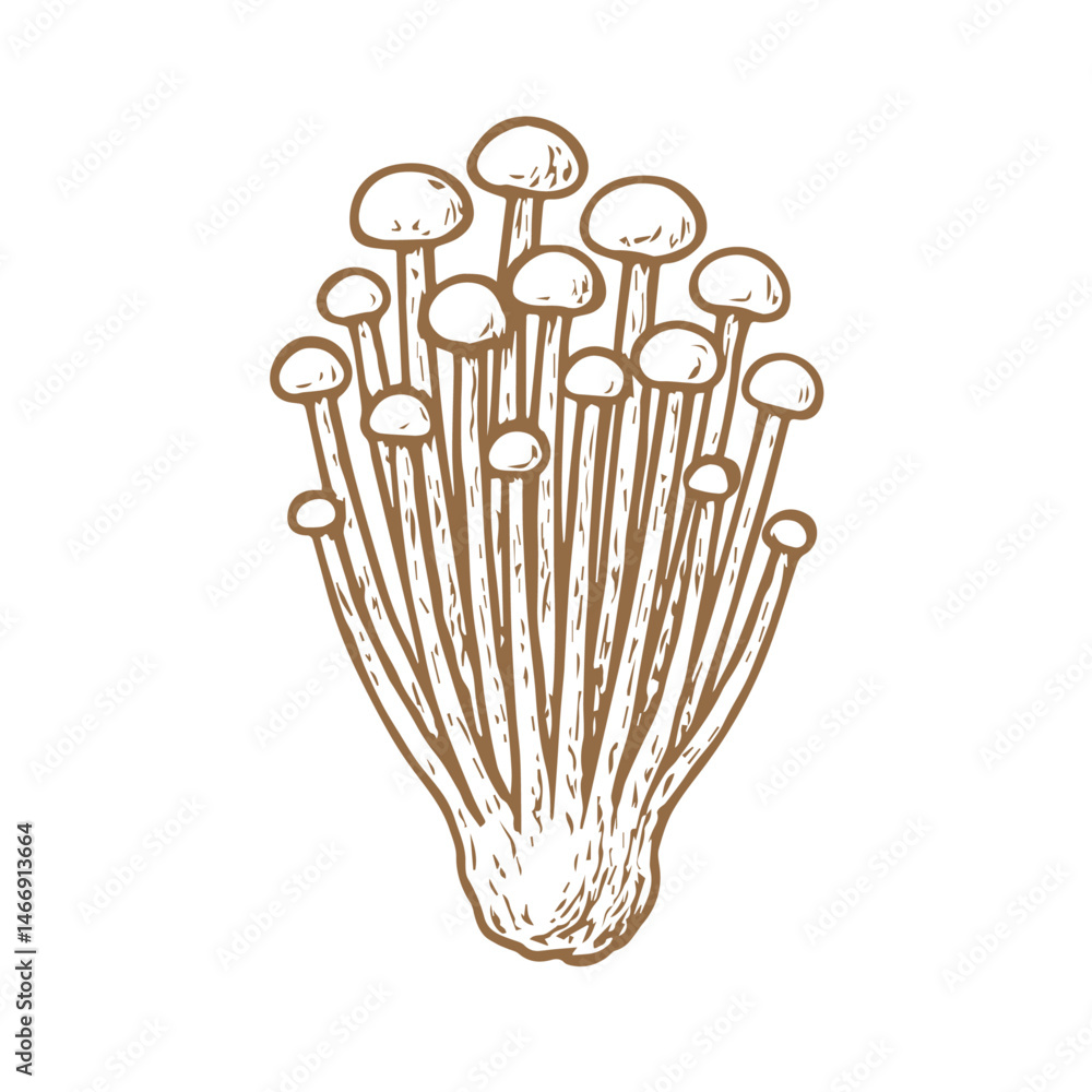 Mushrooms hand sketched drawing vector graphic design for Restaurant Vegetable Market and web elements. Download it in high resolution format and print in any size Mushrooms hand sketched drawing vector graphic design for Restaurant Vegetable Market and web elements. Download it in high resolution format and print in any size