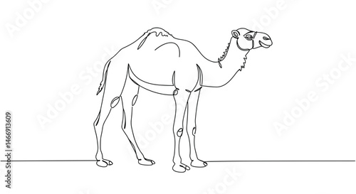 Line Art Illustration of a Camel in a Minimalist Style  
