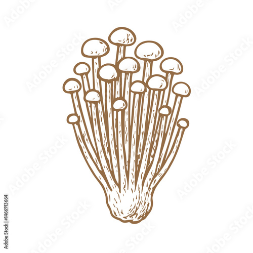 Mushrooms hand sketched drawing vector graphic design for Restaurant Vegetable Market and web elements. Download it in high resolution format and print in any size