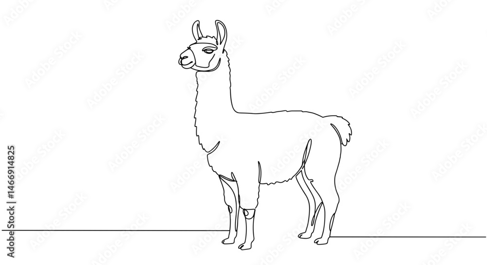 Fototapeta premium Llama standing gracefully in a minimalist line drawing 