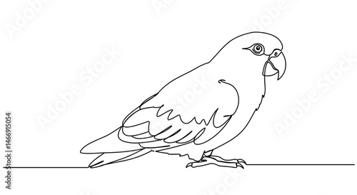 Parrot illustration in minimalist style on white background  