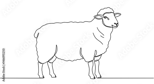 Outline of a sheep standing on a plain background  