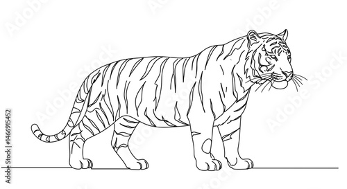 Sketched tiger illustration standing against a white background  