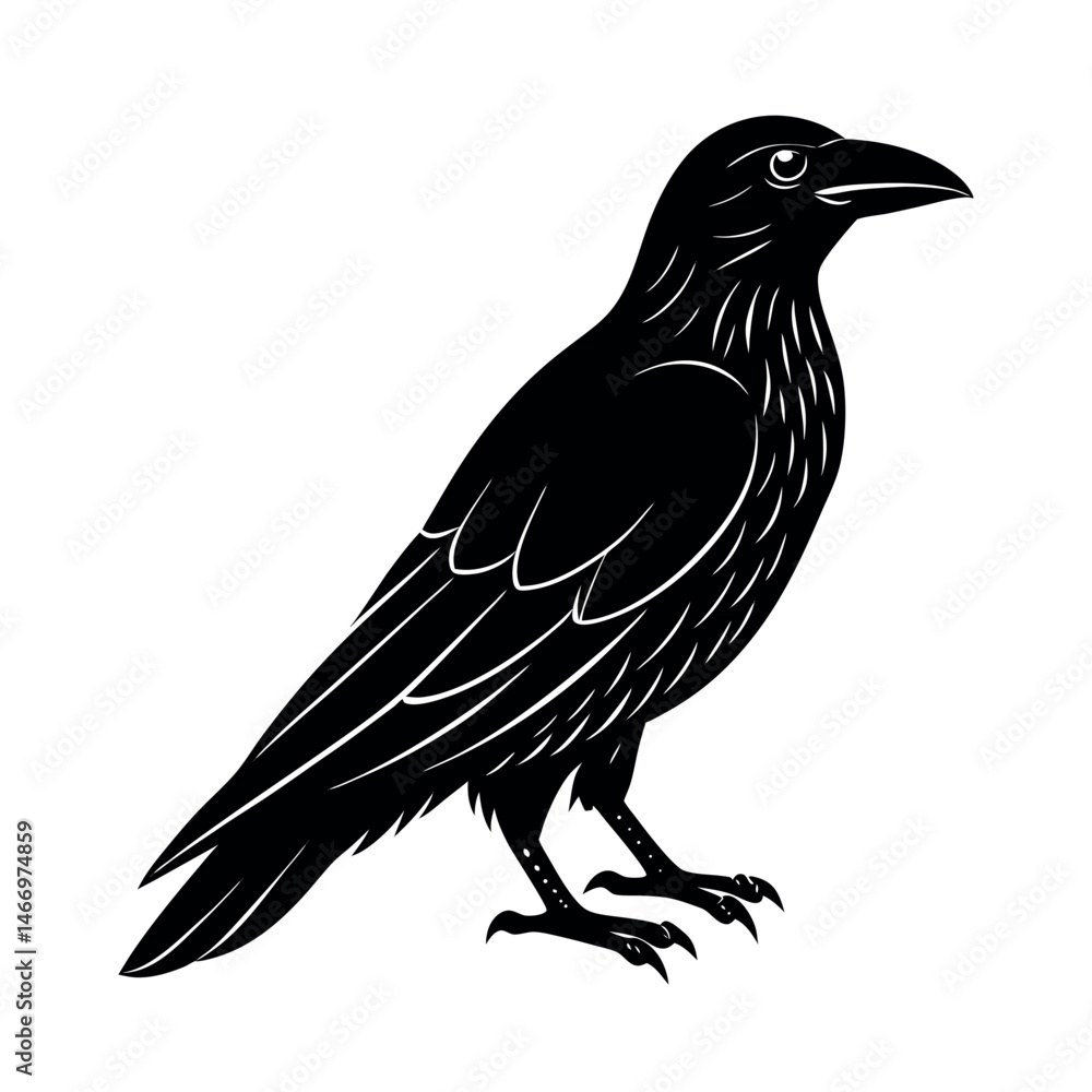 Obraz premium crow on a white background
