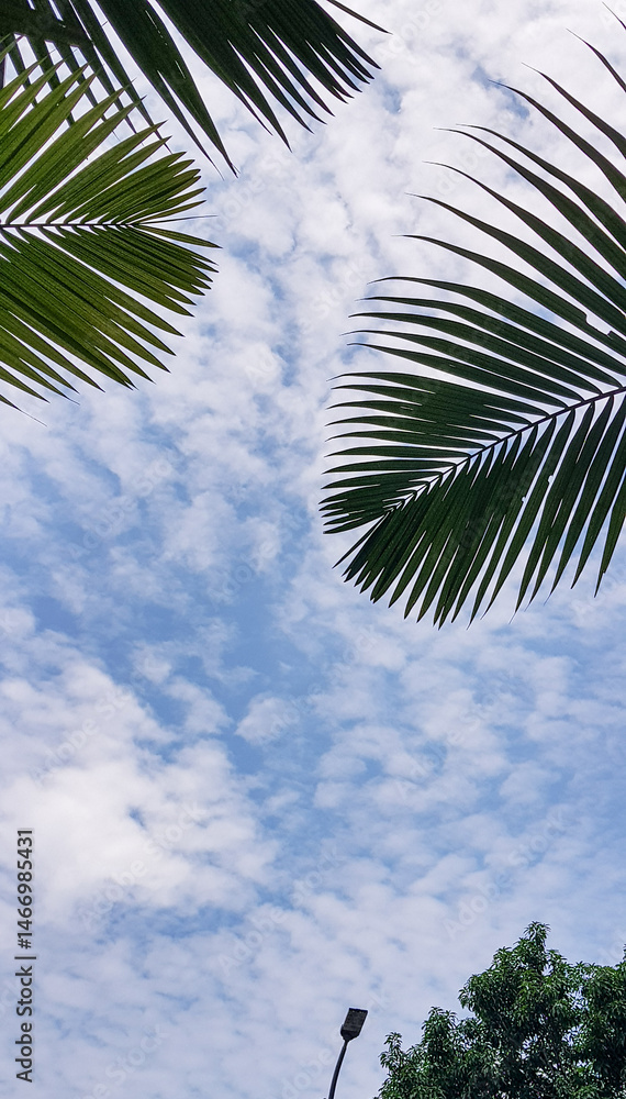 Fototapeta premium Beautiful blue sky with clouds and green leaf trees