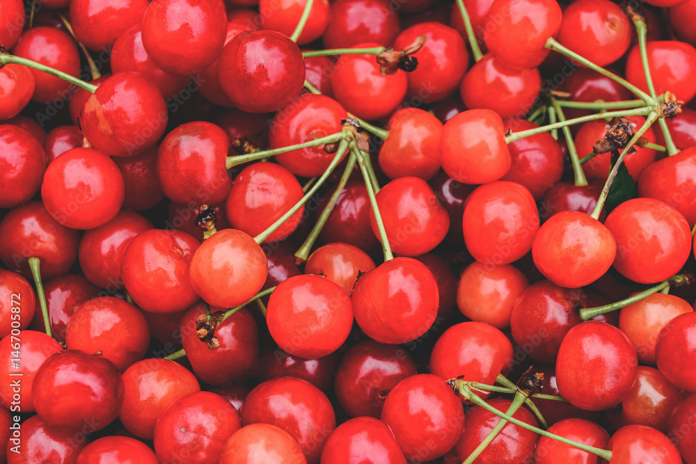 Close-up. Background of many red ripe cherries. Close-up. Background of many red ripe cherries.