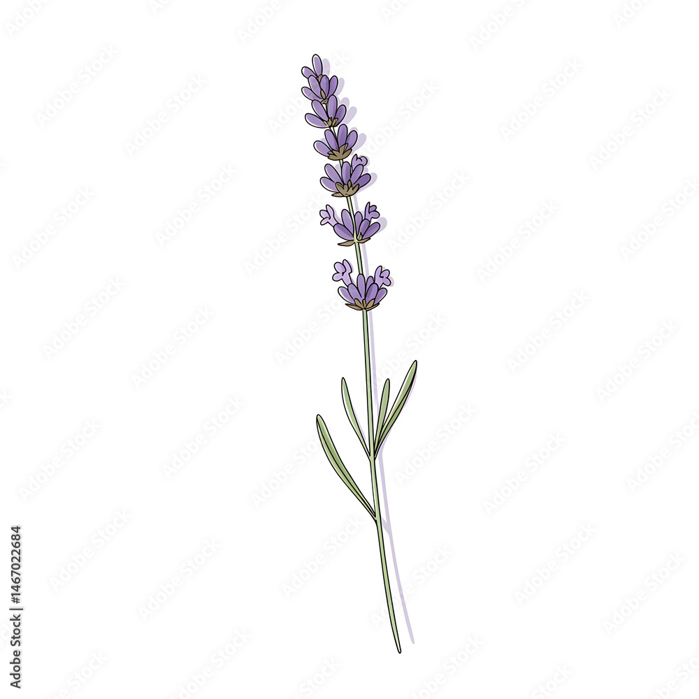 Obraz premium flower