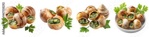 Escargot in Shells, Cooked snails with garlic butter and parsley, French Delicacy, isolated on white background or PNG transparent Background