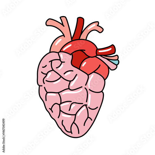 Heart Anatomy Icon Illustration