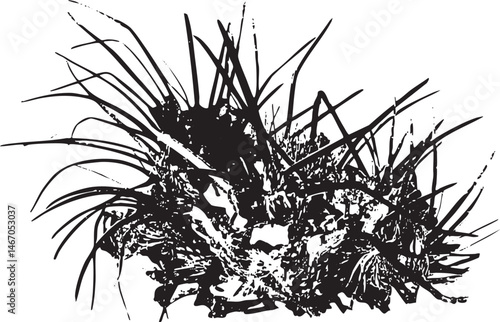 A dense clump of dark grasses forms a textured chaotic mass.