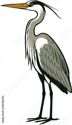 Heron 